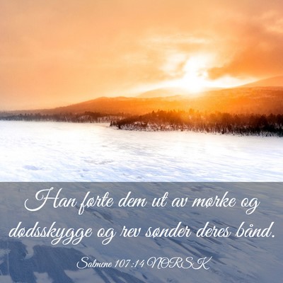 Picture 03 - Salmene 107:14 NORSK - Han førte dem ut av mørke og dødsskygge og rev - Bible Verse Picture
