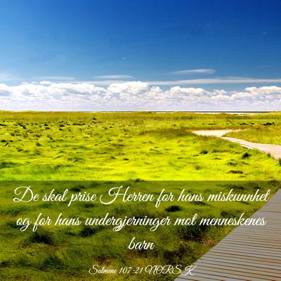 Picture 03 - Salmene 107:21 NORSK - De skal prise Herren for hans miskunnhet og for - Bible Verse Picture