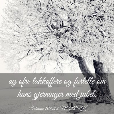 Picture 03 - Salmene 107:22 NORSK - og ofre takkoffere og fortelle om hans gjerninger - Bible Verse Picture