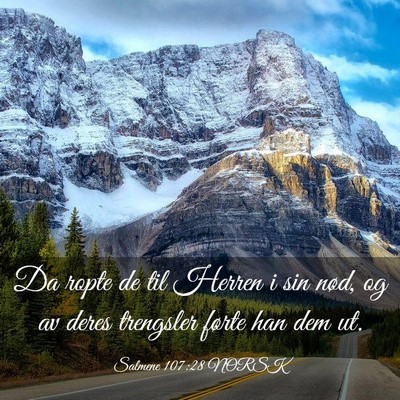 Picture 03 - Salmene 107:28 NORSK - Da ropte de til Herren i sin nød, og av deres - Bible Verse Picture