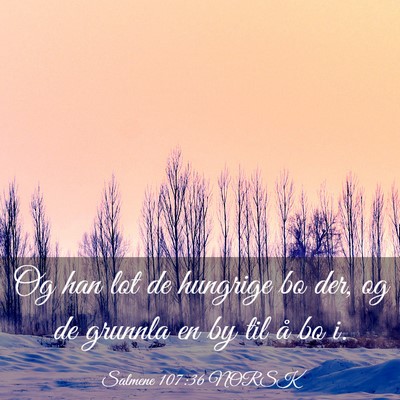 Picture 03 - Salmene 107:36 NORSK - Og han lot de hungrige bo der, og de grunnla en - Bible Verse Picture