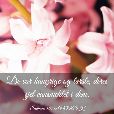 Picture 03 - Salmene 107:5 NORSK - De var hungrige og tørste, deres sjel vansmektet - Bible Verse Picture