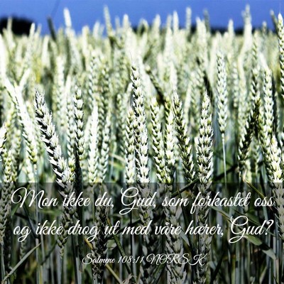 Picture 03 - Salmene 108:11 NORSK - Mon ikke du, Gud, som forkastet oss og ikke drog - Bible Verse Picture