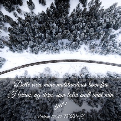 Picture 03 - Salmene 109:20 NORSK - Dette være mine motstanderes lønn fra Herren, - Bible Verse Picture