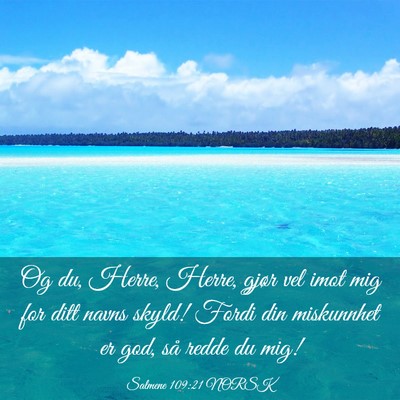 Picture 03 - Salmene 109:21 NORSK - Og du, Herre, Herre, gjør vel imot mig for ditt - Bible Verse Picture
