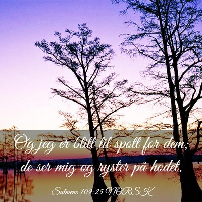 Picture 03 - Salmene 109:25 NORSK - Og jeg er blitt til spott for dem; de ser mig og - Bible Verse Picture