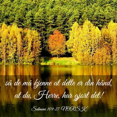 Picture 03 - Salmene 109:27 NORSK - så de må kjenne at dette er din hånd, at du, - Bible Verse Picture