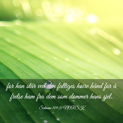 Picture 03 - Salmene 109:31 NORSK - for han står ved den fattiges høire hånd for - Bible Verse Picture