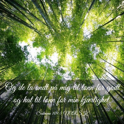 Picture 03 - Salmene 109:5 NORSK - Og de la ondt på mig til lønn for godt og hat - Bible Verse Picture
