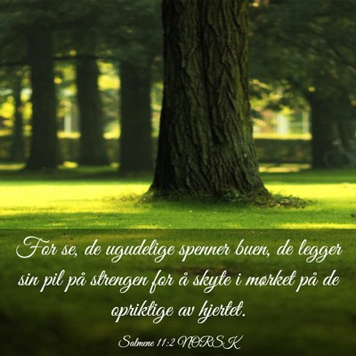 Picture 03 - Salmene 11:2 NORSK - For se, de ugudelige spenner buen, de legger sin - Bible Verse Picture