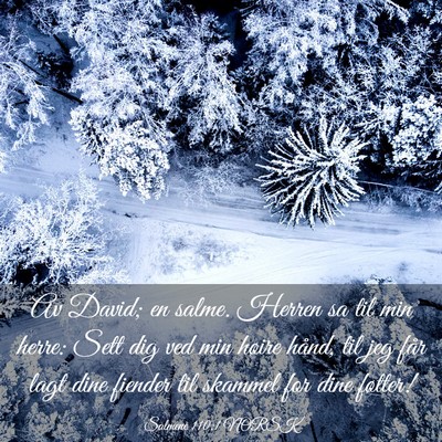 Picture 03 - Salmene 110:1 NORSK - Av David; en salme. Herren sa til min herre: Sett - Bible Verse Picture