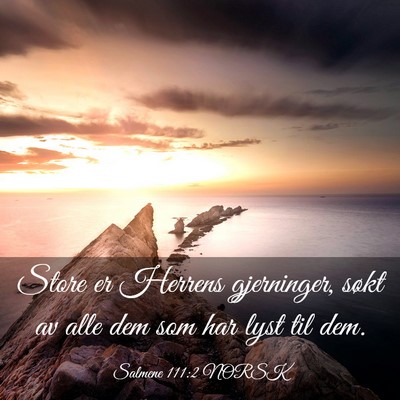 Picture 03 - Salmene 111:2 NORSK - Store er Herrens gjerninger, søkt av alle dem - Bible Verse Picture