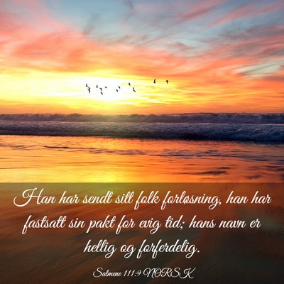 Picture 03 - Salmene 111:9 NORSK - Han har sendt sitt folk forløsning, han har - Bible Verse Picture