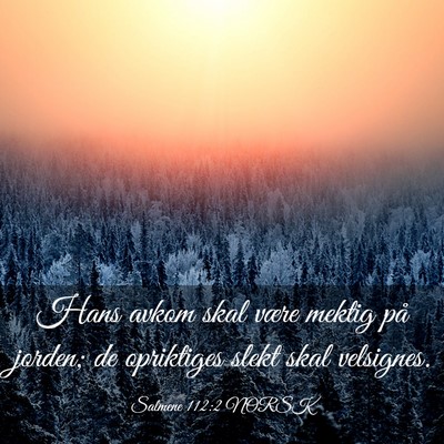 Picture 03 - Salmene 112:2 NORSK - Hans avkom skal være mektig på jorden; de - Bible Verse Picture