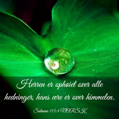 Picture 03 - Salmene 113:4 NORSK - Herren er ophøiet over alle hedninger, hans ære - Bible Verse Picture