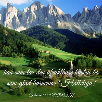 Picture 03 - Salmene 113:9 NORSK - han som lar den ufruktbare hustru bo som glad - Bible Verse Picture