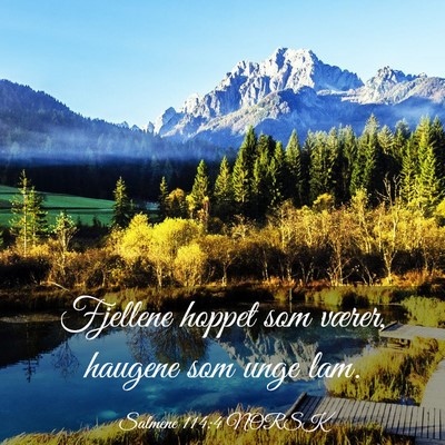 Picture 03 - Salmene 114:4 NORSK - Fjellene hoppet som værer, haugene som unge - Bible Verse Picture