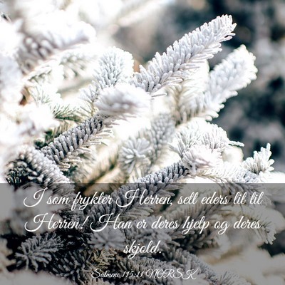 Picture 03 - Salmene 115:11 NORSK - I som frykter Herren, sett eders lit til Herren! - Bible Verse Picture