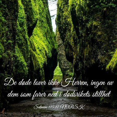 Picture 03 - Salmene 115:17 NORSK - De døde lover ikke Herren, ingen av dem som - Bible Verse Picture