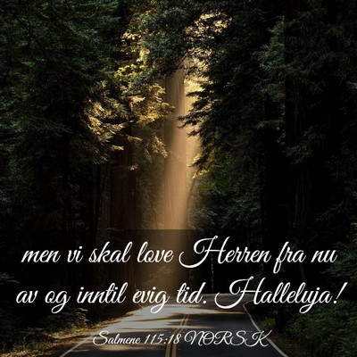 Picture 03 - Salmene 115:18 NORSK - men vi skal love Herren fra nu av og inntil evig - Bible Verse Picture