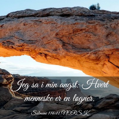 Picture 03 - Salmene 116:11 NORSK - Jeg sa i min angst: Hvert menneske er en - Bible Verse Picture