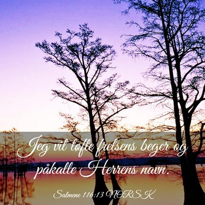 Picture 03 - Salmene 116:13 NORSK - Jeg vil løfte frelsens beger og påkalle Herrens - Bible Verse Picture
