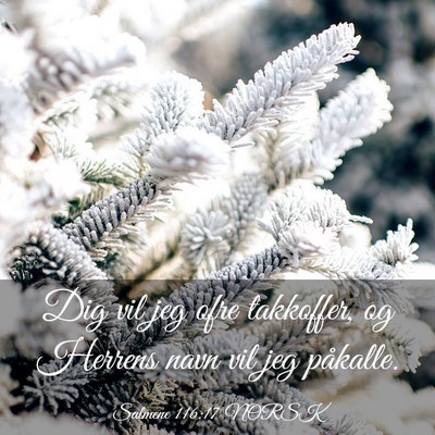 Picture 03 - Salmene 116:17 NORSK - Dig vil jeg ofre takkoffer, og Herrens navn vil - Bible Verse Picture