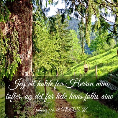 Picture 03 - Salmene 116:18 NORSK - Jeg vil holde for Herren mine løfter, og det for - Bible Verse Picture