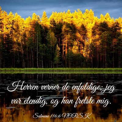 Picture 03 - Salmene 116:6 NORSK - Herren verner de enfoldige; jeg var elendig, og - Bible Verse Picture