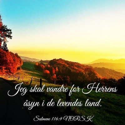Picture 03 - Salmene 116:9 NORSK - Jeg skal vandre for Herrens åsyn i de levendes - Bible Verse Picture