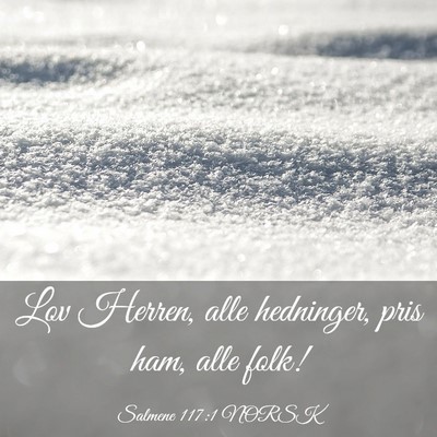 Picture 03 - Salmene 117:1 NORSK - Lov Herren, alle hedninger, pris ham, alle - Bible Verse Picture