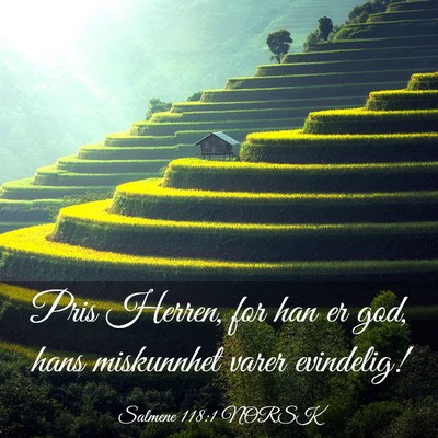 Picture 03 - Salmene 118:1 NORSK - Pris Herren, for han er god, hans miskunnhet - Bible Verse Picture