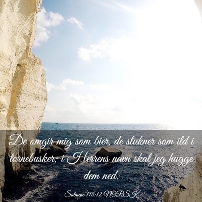 Picture 03 - Salmene 118:12 NORSK - De omgir mig som bier, de slukner som ild i - Bible Verse Picture