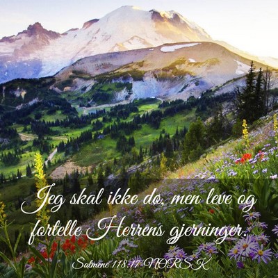 Picture 03 - Salmene 118:17 NORSK - Jeg skal ikke dø, men leve og fortelle Herrens - Bible Verse Picture