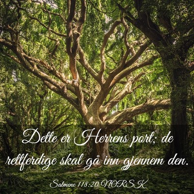 Picture 03 - Salmene 118:20 NORSK - Dette er Herrens port; de rettferdige skal gå - Bible Verse Picture