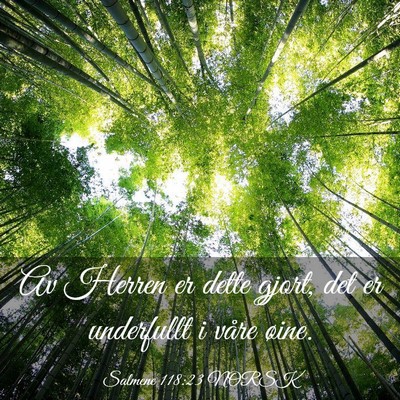 Picture 03 - Salmene 118:23 NORSK - Av Herren er dette gjort, det er underfullt i - Bible Verse Picture