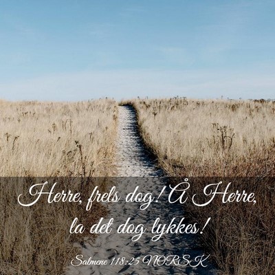 Picture 03 - Salmene 118:25 NORSK - Herre, frels dog! Å Herre, la det dog - Bible Verse Picture