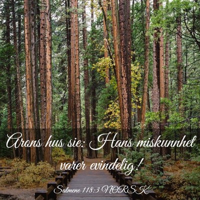 Picture 03 - Salmene 118:3 NORSK - Arons hus sie: Hans miskunnhet varer - Bible Verse Picture