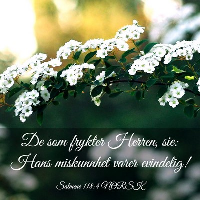 Picture 03 - Salmene 118:4 NORSK - De som frykter Herren, sie: Hans miskunnhet varer - Bible Verse Picture