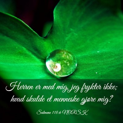 Picture 03 - Salmene 118:6 NORSK - Herren er med mig, jeg frykter ikke; hvad skulde - Bible Verse Picture