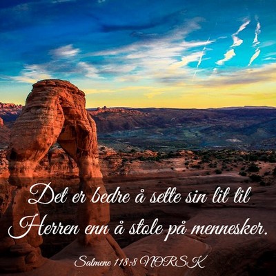 Picture 03 - Salmene 118:8 NORSK - Det er bedre å sette sin lit til Herren enn å - Bible Verse Picture
