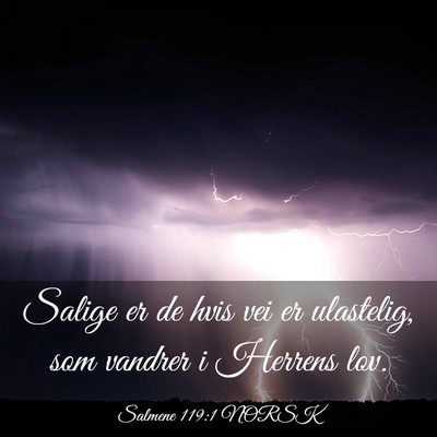 Picture 03 - Salmene 119:1 NORSK - Salige er de hvis vei er ulastelig, som vandrer i - Bible Verse Picture