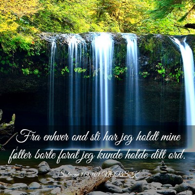 Picture 03 - Salmene 119:101 NORSK - Fra enhver ond sti har jeg holdt mine føtter - Bible Verse Picture
