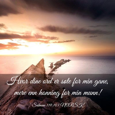 Picture 03 - Salmene 119:103 NORSK - Hvor dine ord er søte for min gane, mere enn - Bible Verse Picture