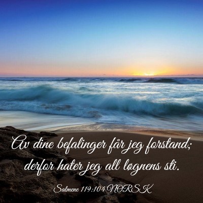 Picture 03 - Salmene 119:104 NORSK - Av dine befalinger får jeg forstand; derfor - Bible Verse Picture