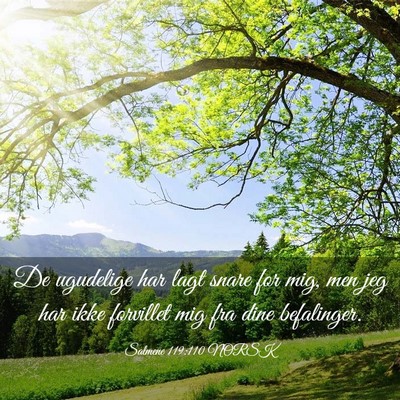 Picture 03 - Salmene 119:110 NORSK - De ugudelige har lagt snare for mig, men jeg har - Bible Verse Picture