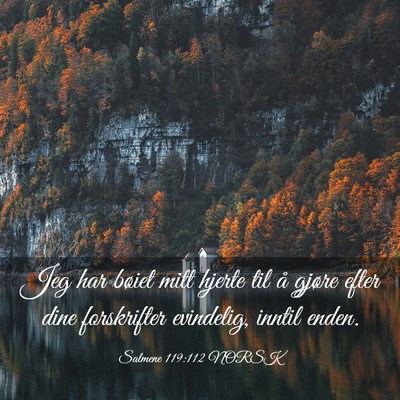 Picture 03 - Salmene 119:112 NORSK - Jeg har bøiet mitt hjerte til å gjøre efter - Bible Verse Picture