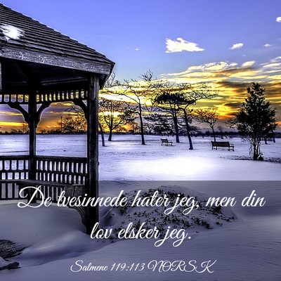 Picture 03 - Salmene 119:113 NORSK - De tvesinnede hater jeg, men din lov elsker - Bible Verse Picture