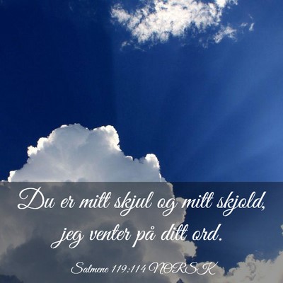 Picture 03 - Salmene 119:114 NORSK - Du er mitt skjul og mitt skjold, jeg venter på - Bible Verse Picture