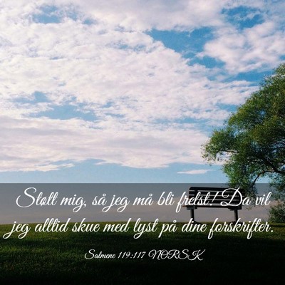 Picture 03 - Salmene 119:117 NORSK - Støtt mig, så jeg må bli frelst! Da vil jeg - Bible Verse Picture